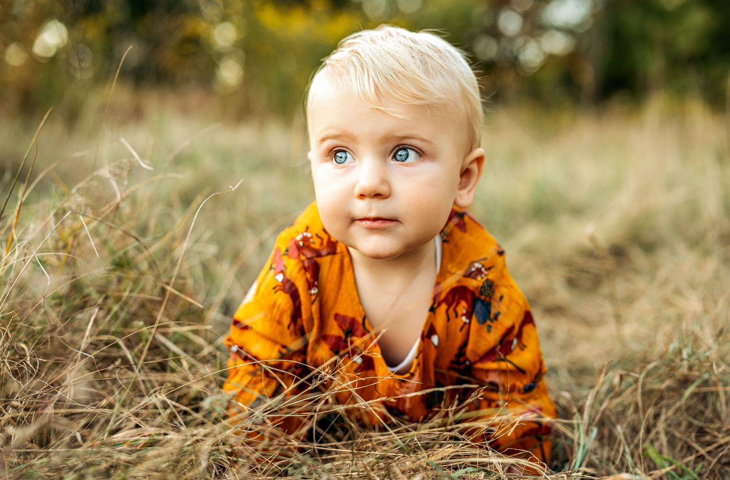Blonde toddler with blue eyes wearing an orange floral outfit sitting in a field of dry grass outdoors.