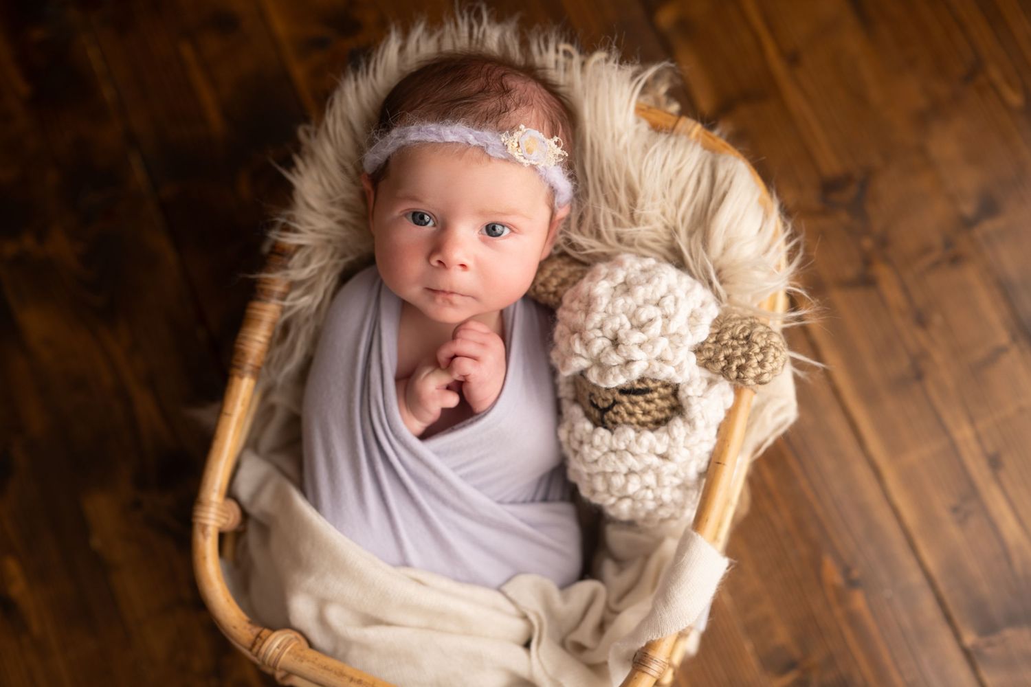 Newborn baby girl wrapped in gray swaddle with floral headband resting in wicker basket with fluffy fur and knit lion toy.