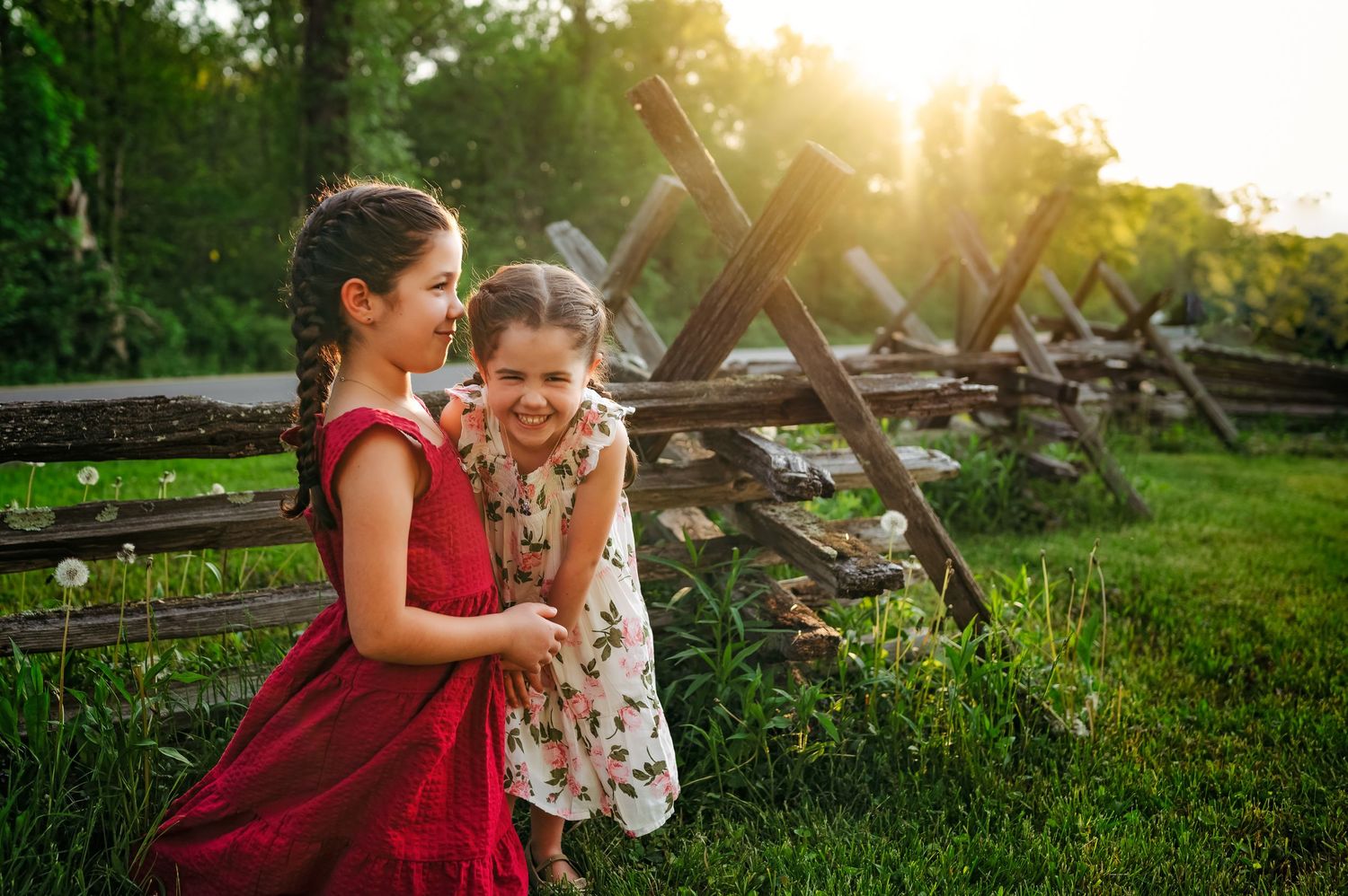 Two young girls in dresses laughing together by a rustic wooden fence in a sunlit green meadow.