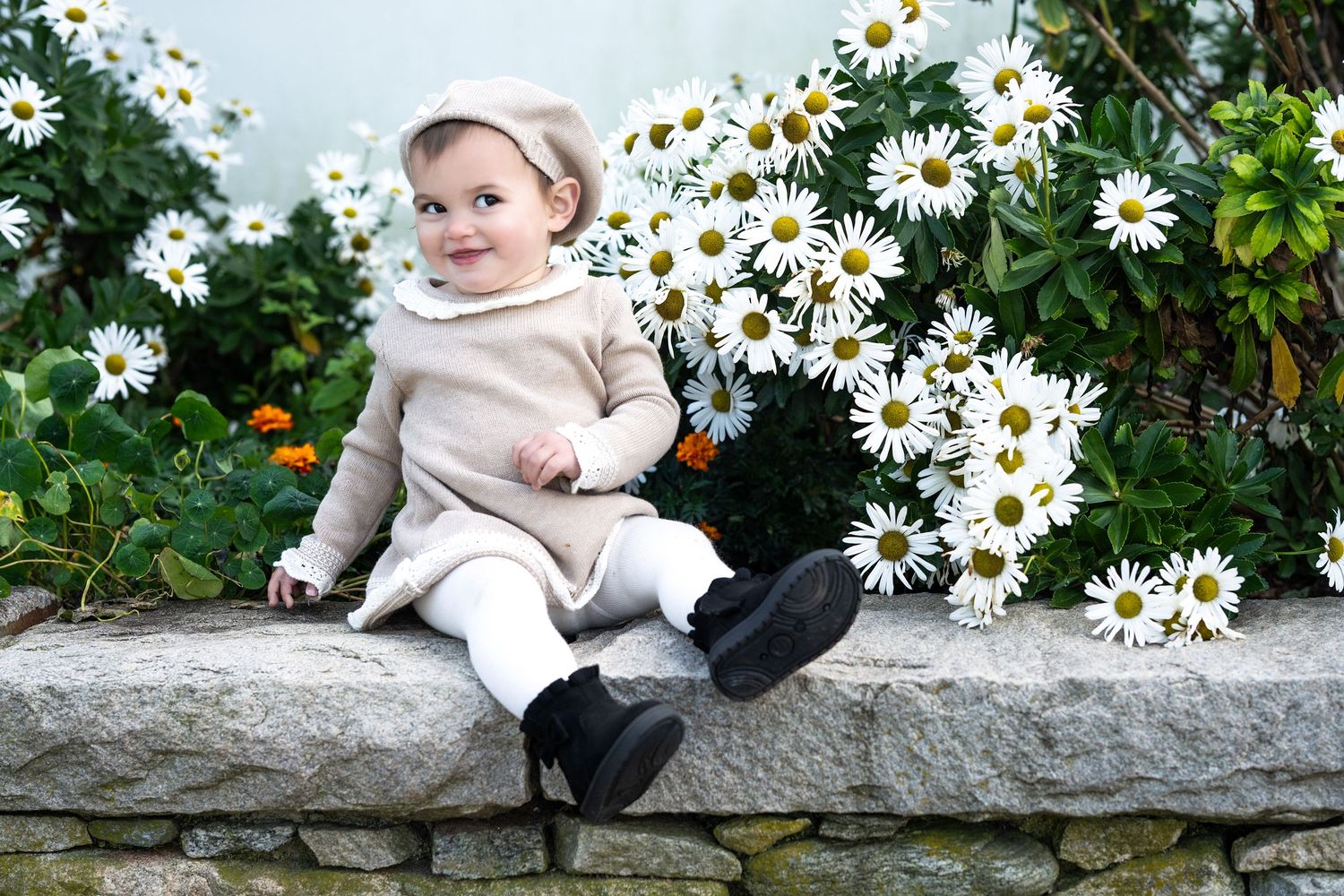 Adorable baby girl in beige outfit and white hat sitting on stone wall surrounded by white daisy flowers.