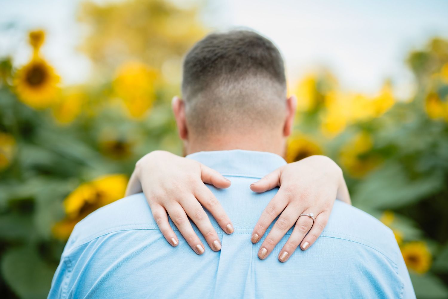 Person embraced from behind in a sunflower field, wearing a light blue shirt, with hands showing a ring on finger.