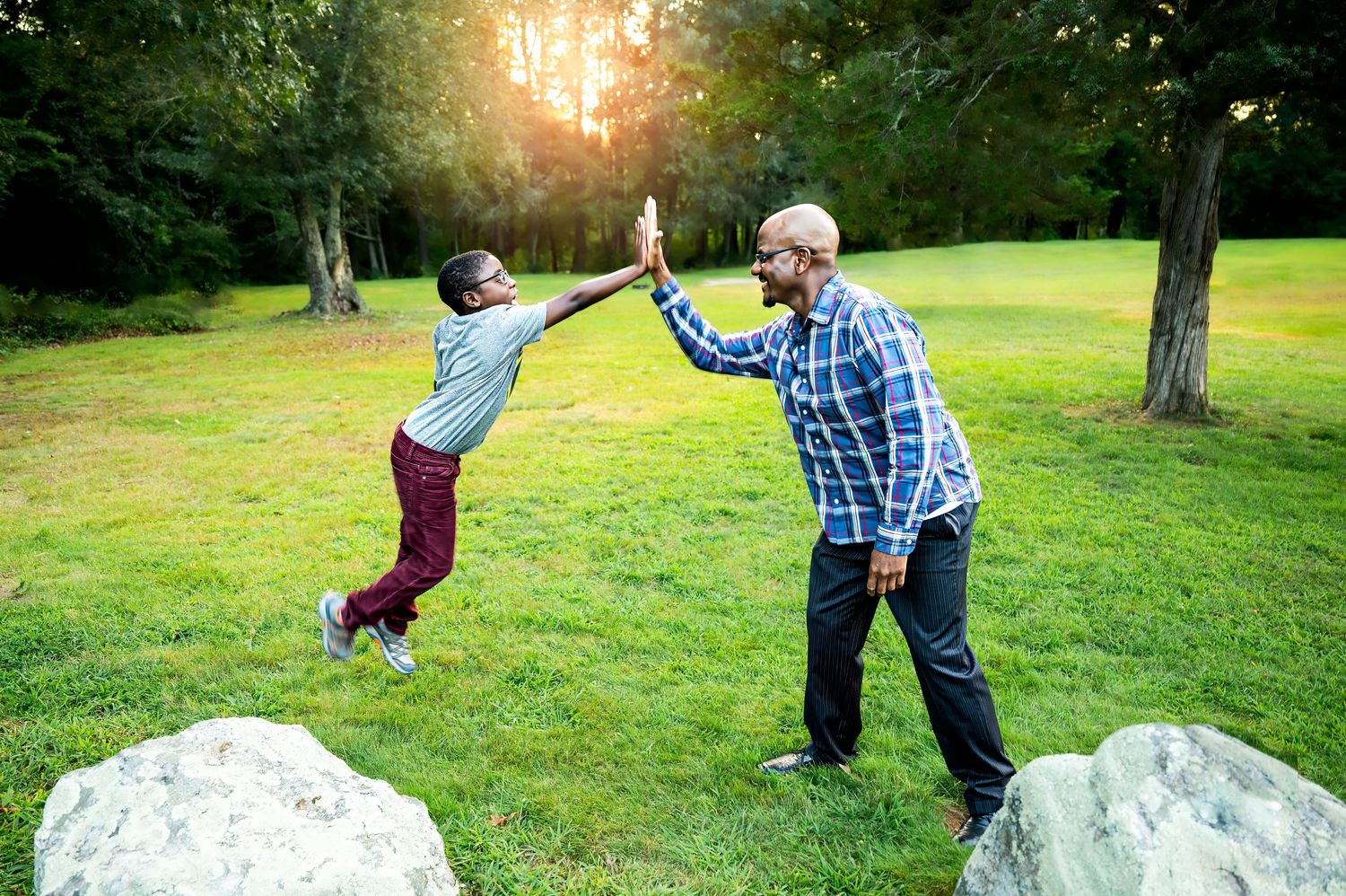 A man and boy joyfully high-fiving outdoors on a green lawn surrounded by trees and rocks in warm sunlight.