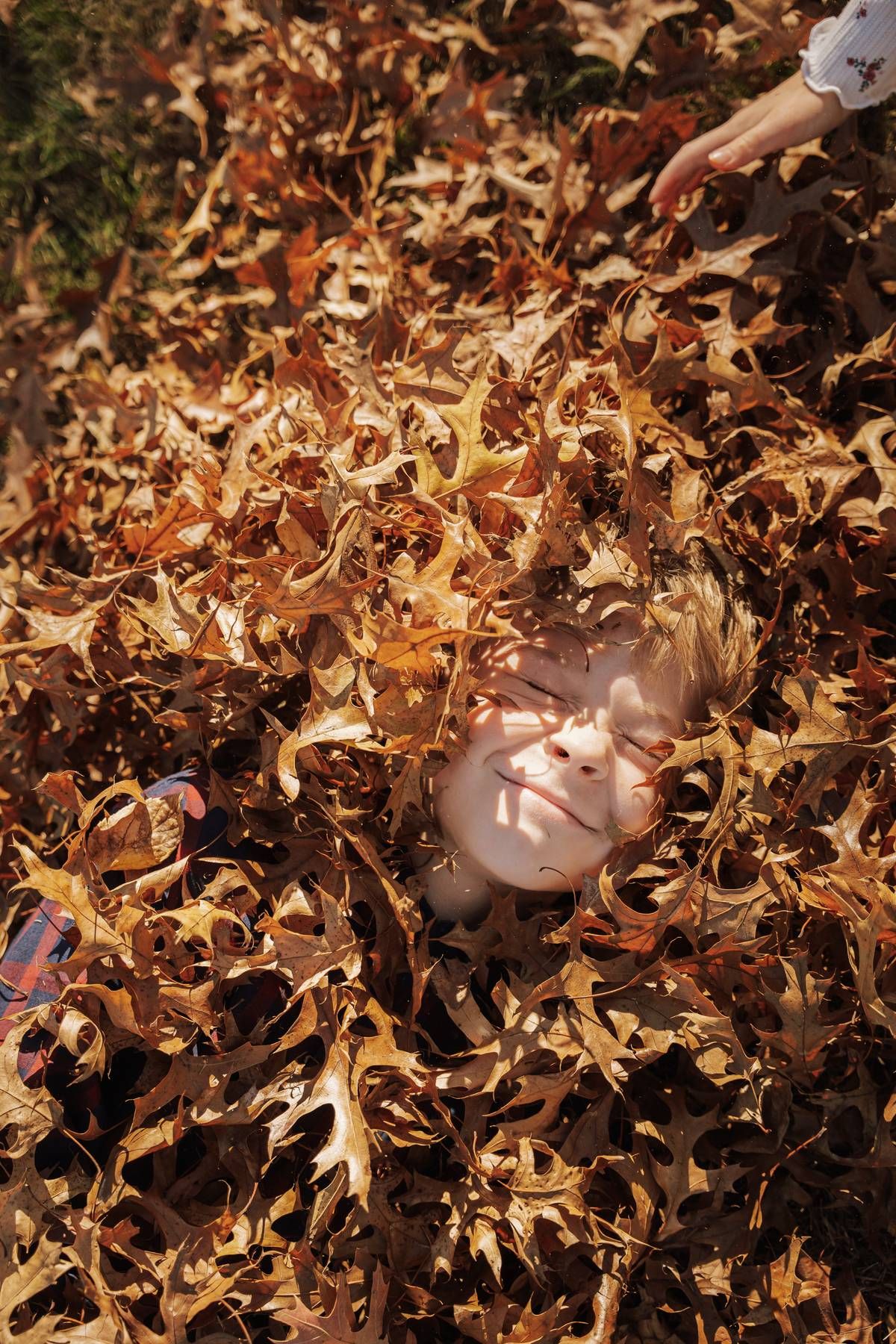 boy in leaves