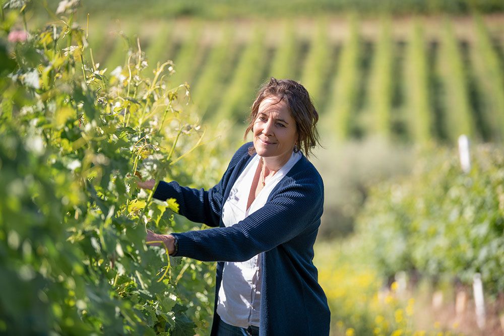 Woman in navy blazer inspecting grapevines in a lush vineyard on a sunny day.