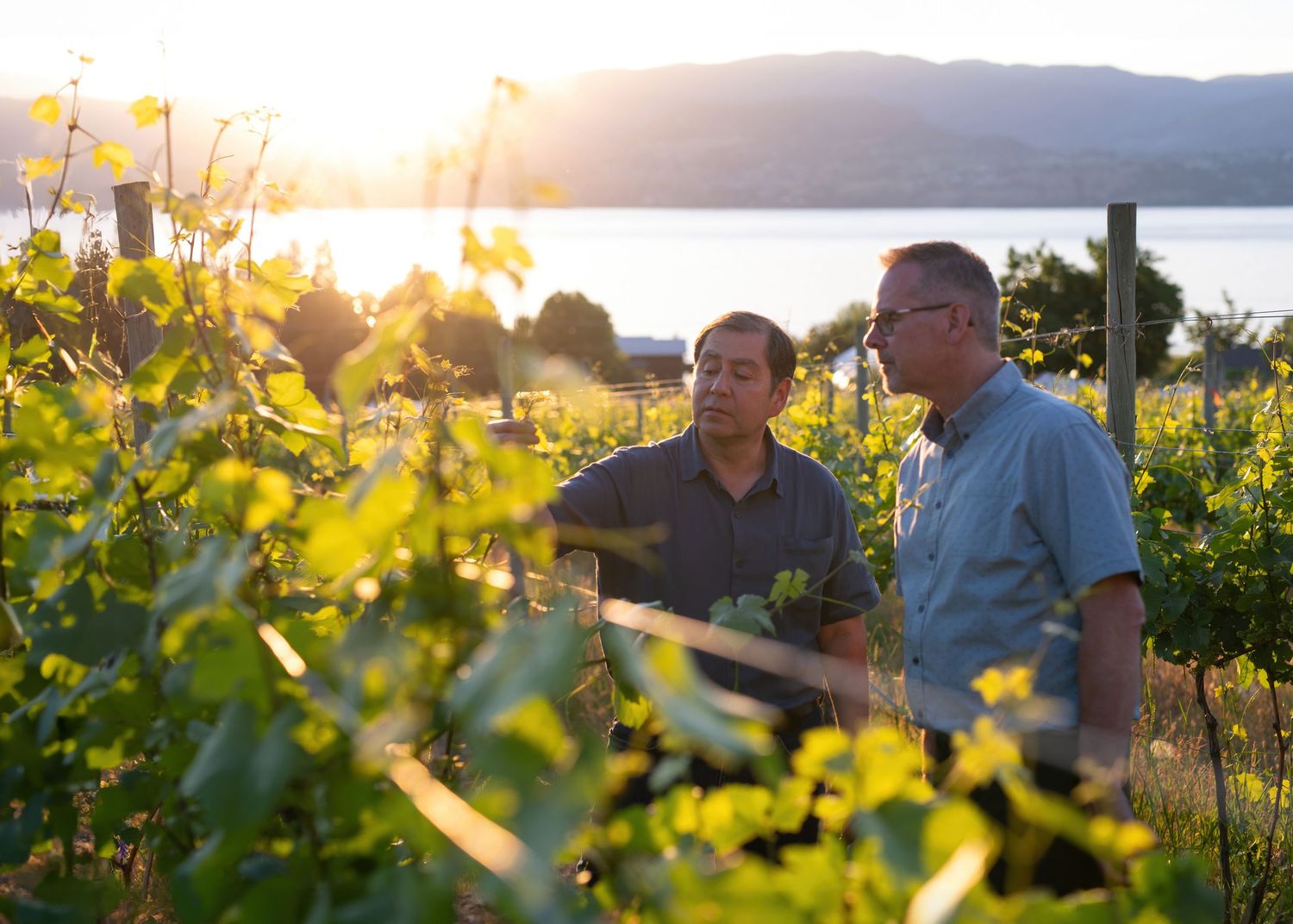 Two men conversing in a sunlit vineyard at golden hour with a lake and mountains in the background.