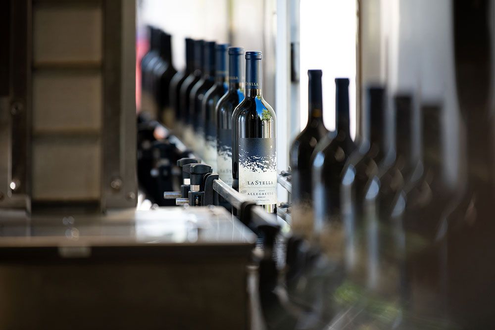 Rows of dark wine bottles on a conveyor belt in a modern winery bottling facility.