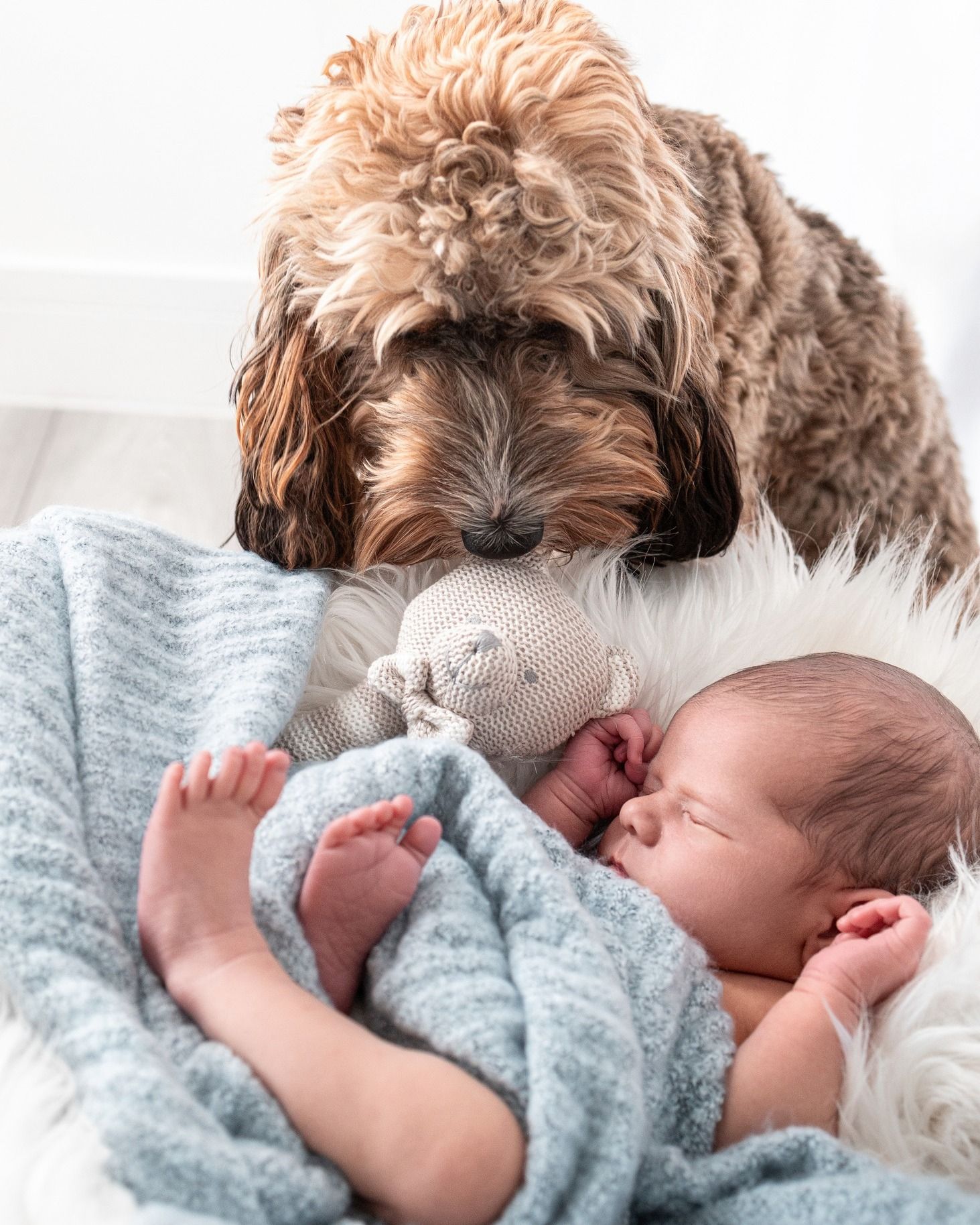 Newborn & Baby Photography - Charlie-Lee Photography - Southampton, UK