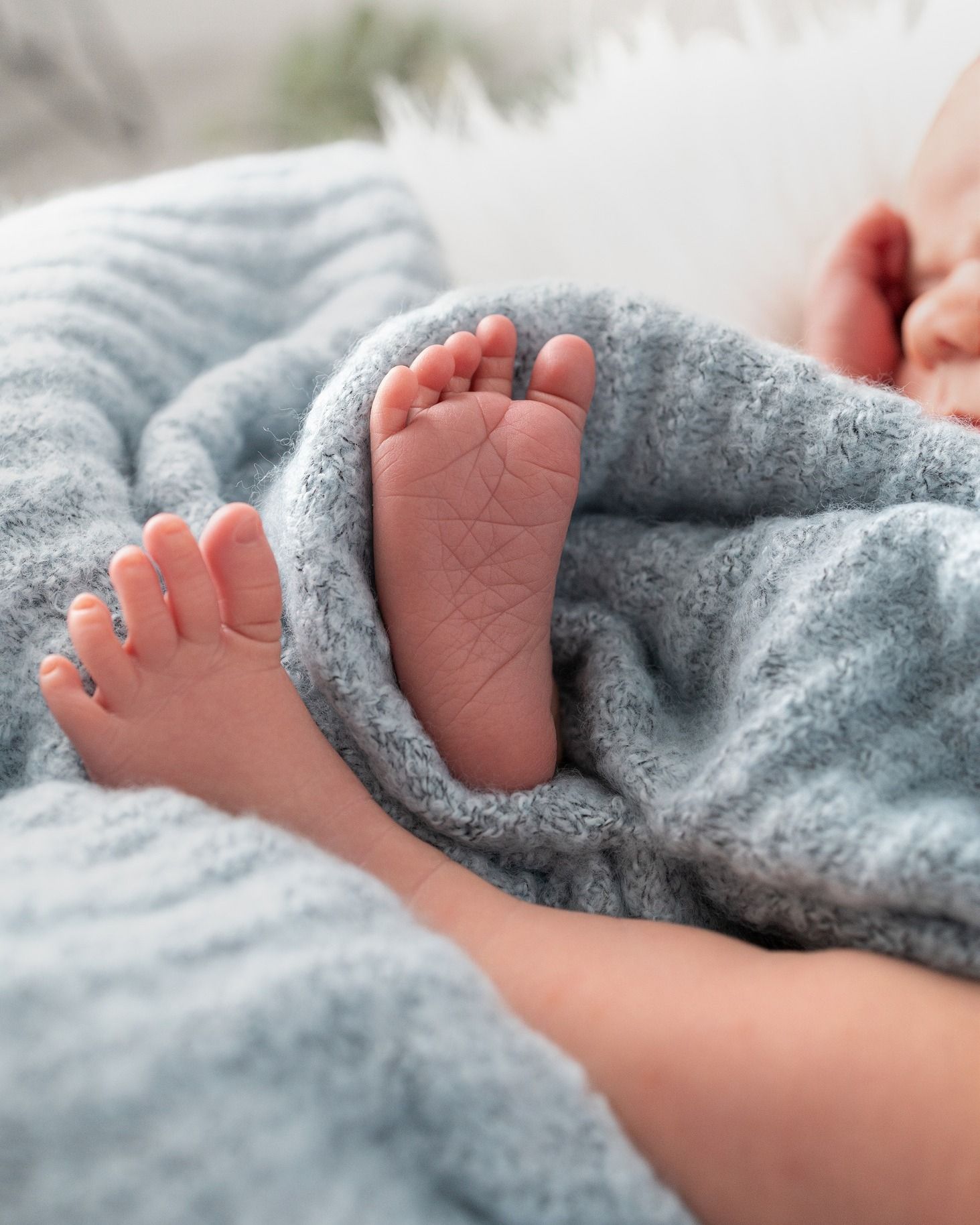 Newborn & Baby Photography - Charlie-Lee Photography - Southampton, UK
