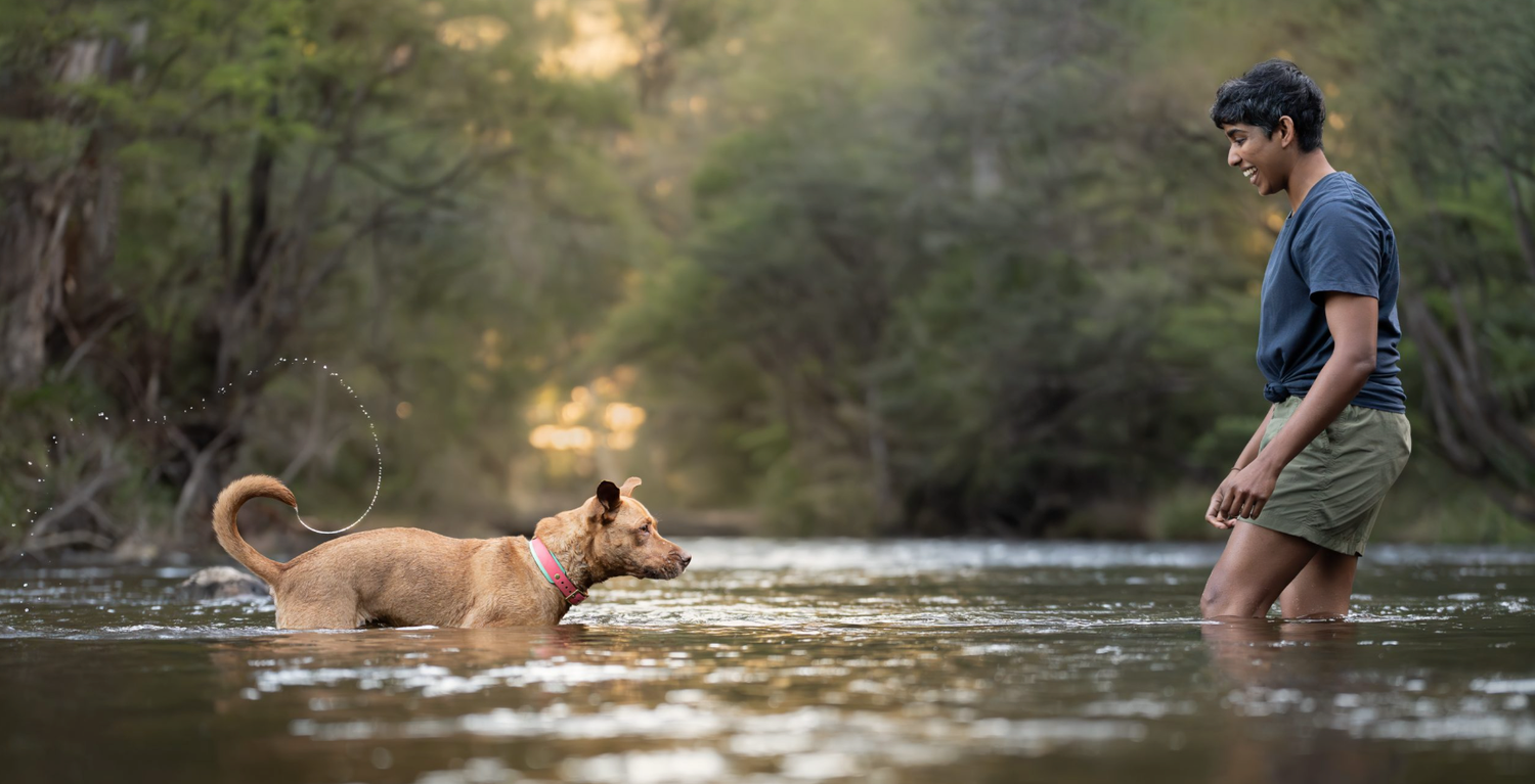Person and their dog standing in water together with serene bush land in the background.