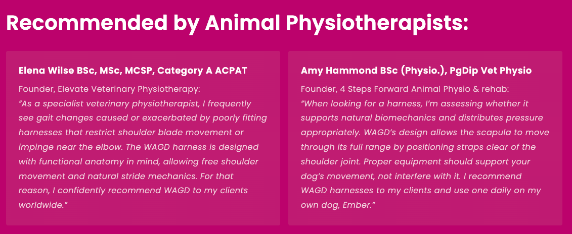 A description of why Wagd is recommended by animal physiotherapists.