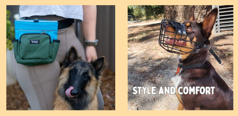 A treat pouch with a Belgian Shepherd and a Kelpie wearing a Muzzle side by side.