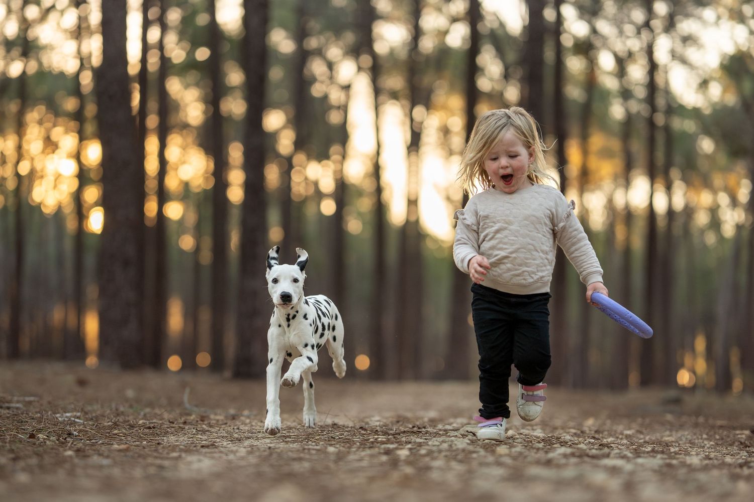 A joyful toddler runs with a Dalmatian puppy through a sunlit pine forest, holding a Apawlo Ring.