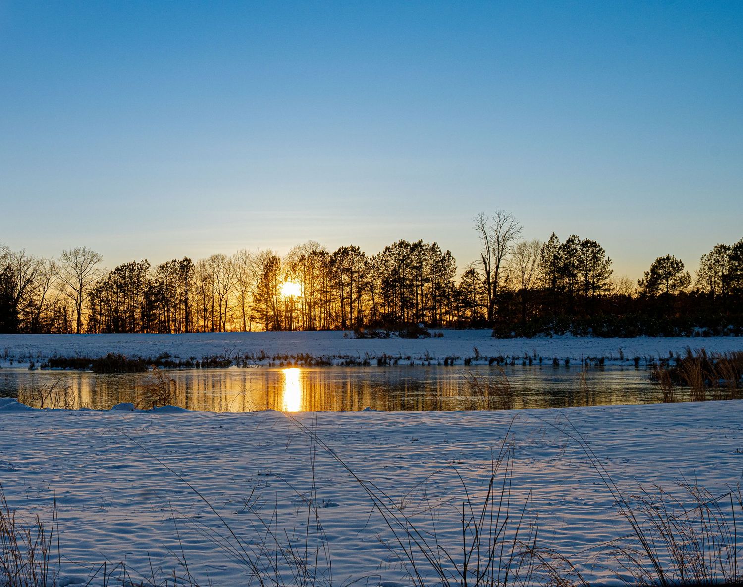 Golden sunset illuminates a snowy winter landscape with bare trees silhouetted against the glowing horizon.