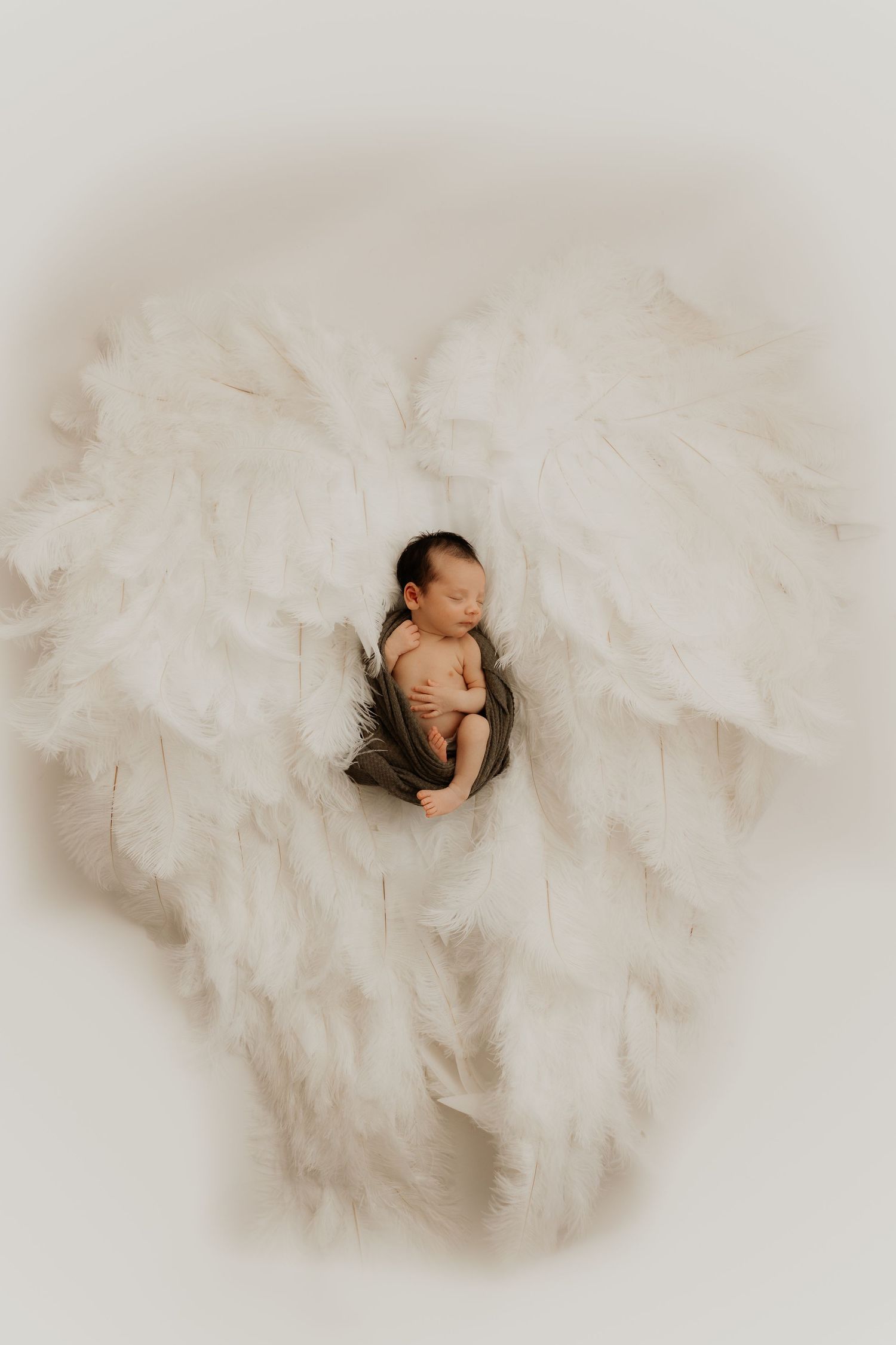 Newborn baby sleeping peacefully on large white feathered angel wings in a soft, dreamy photography setup.