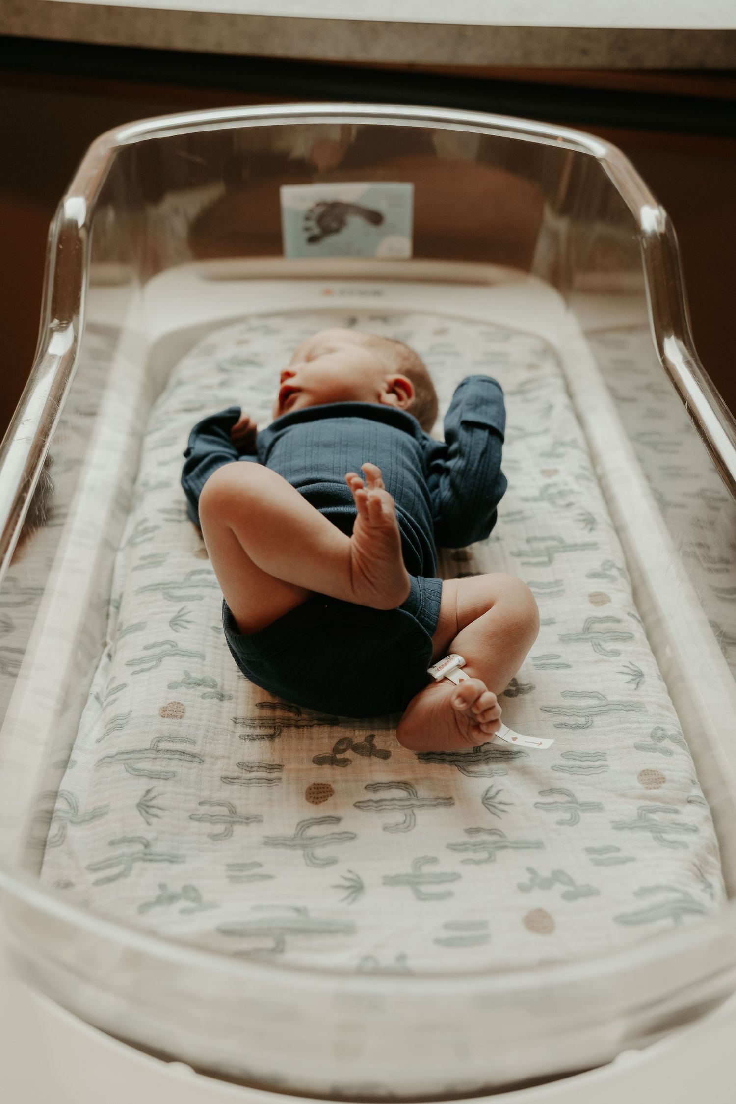 Newborn baby in blue onesie lying in a clear hospital bassinet with a cactus-print mattress pad.