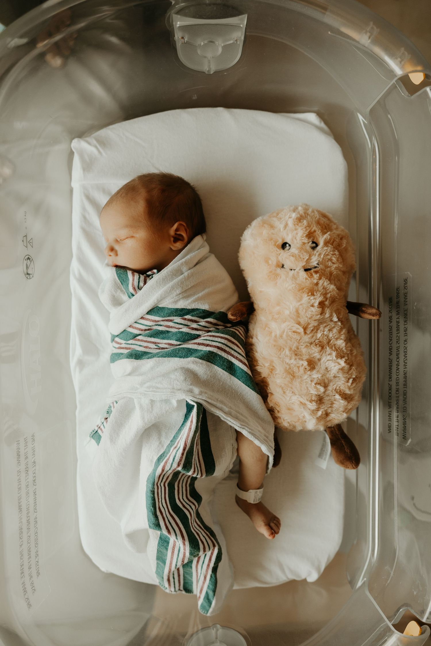Newborn baby swaddled in striped blanket sleeping beside a teddy bear in a hospital bassinet.