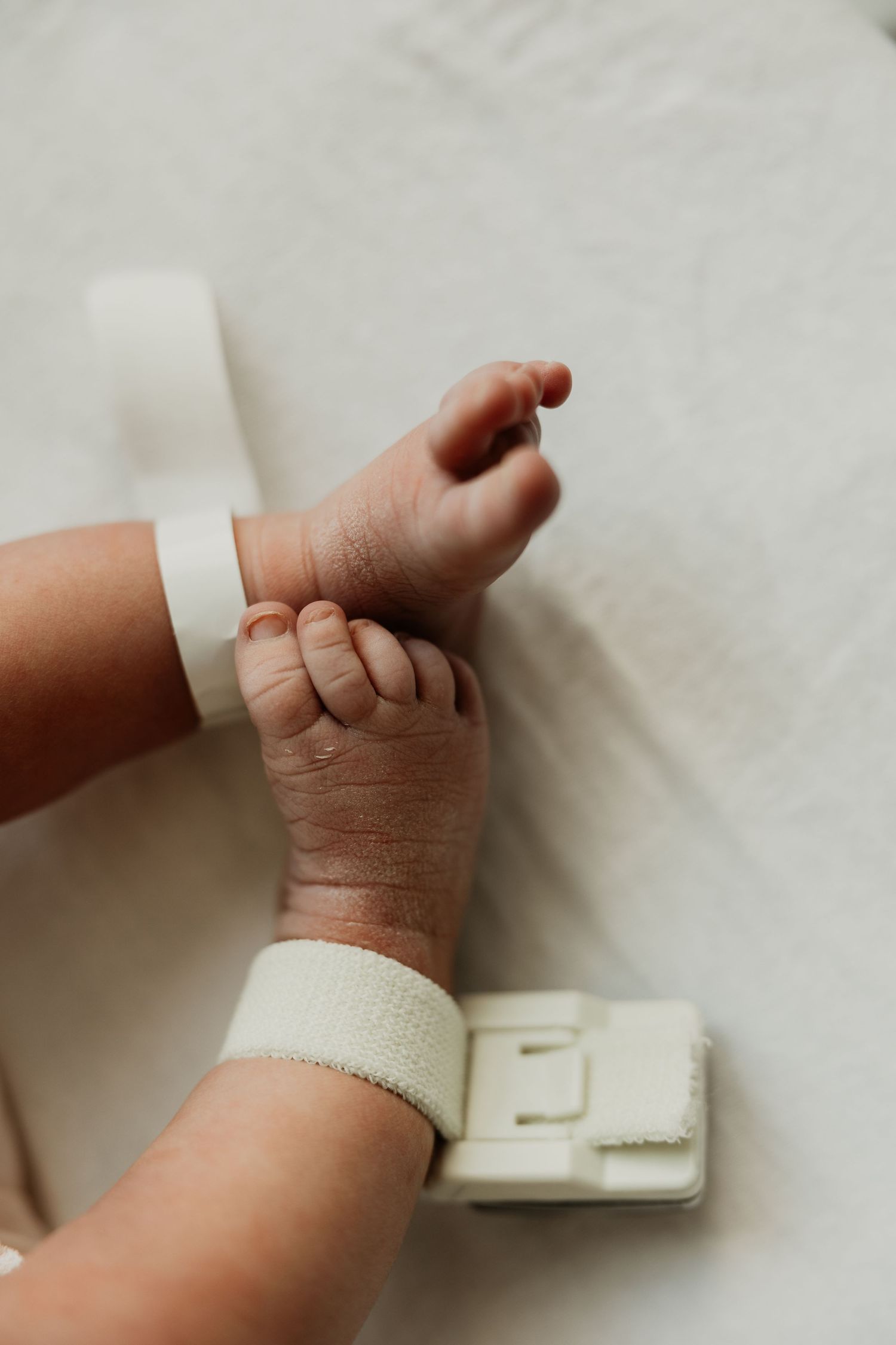 Close-up of newborn baby feet with hospital identification bands on white blanket.