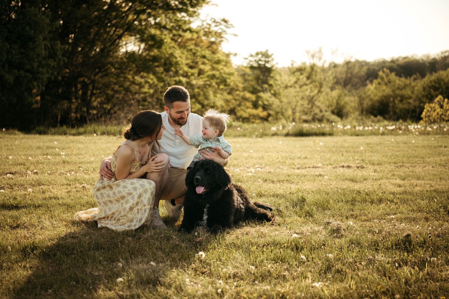 A family and their black dog sit together on a grassy hill during golden hour at sunset.