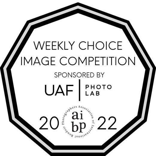 Weekly choice photography competition logo with geometric shapes and text.