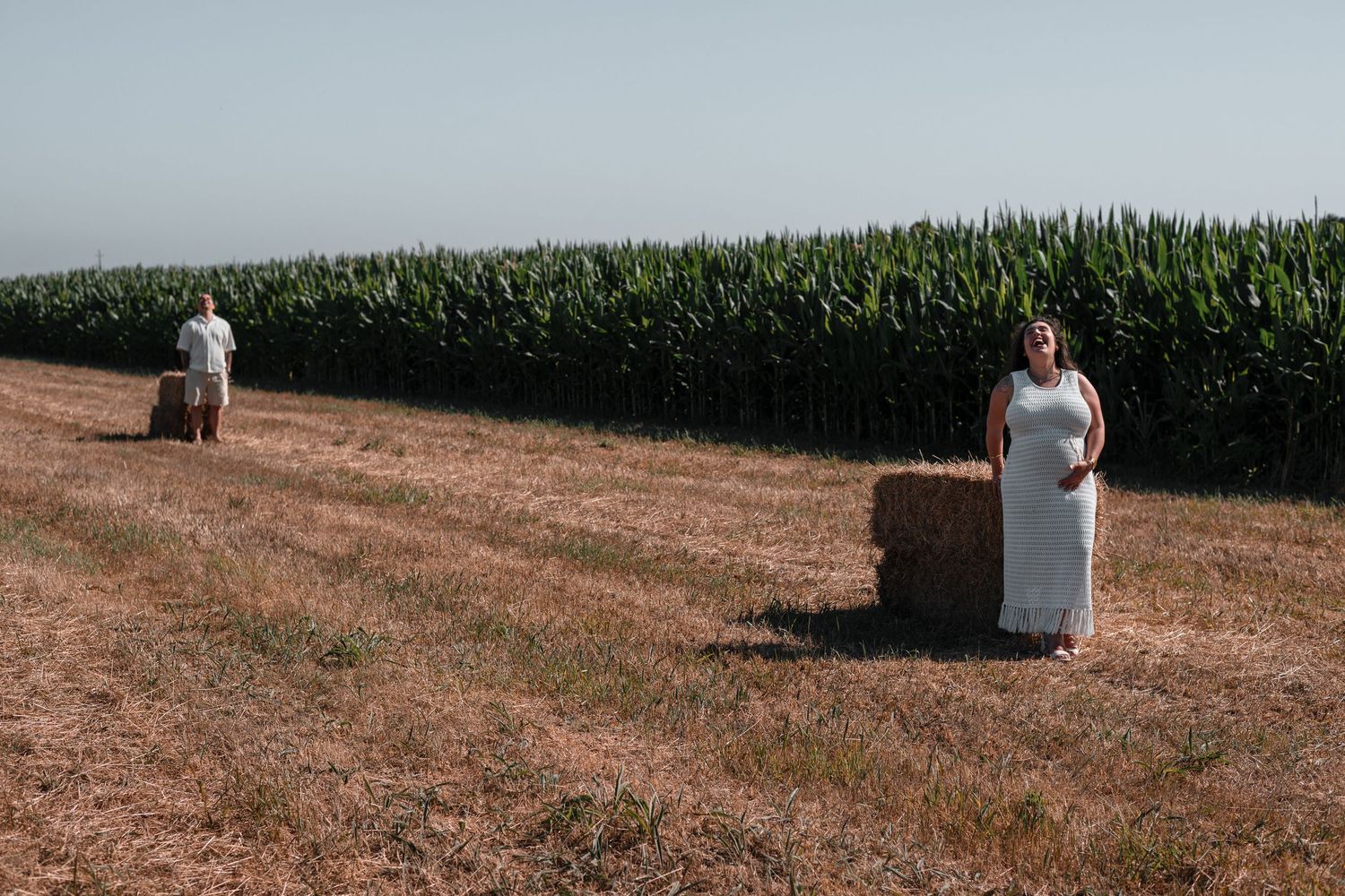 Green cornfield stretches into the distance under bright blue skies.