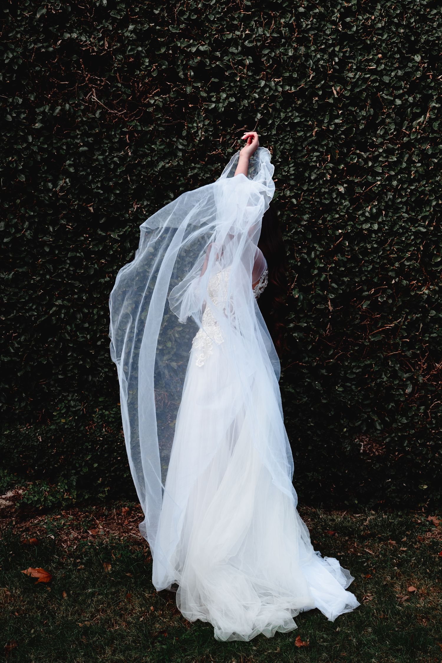 Ethereal wedding dress with flowing veil against dark hedge background.