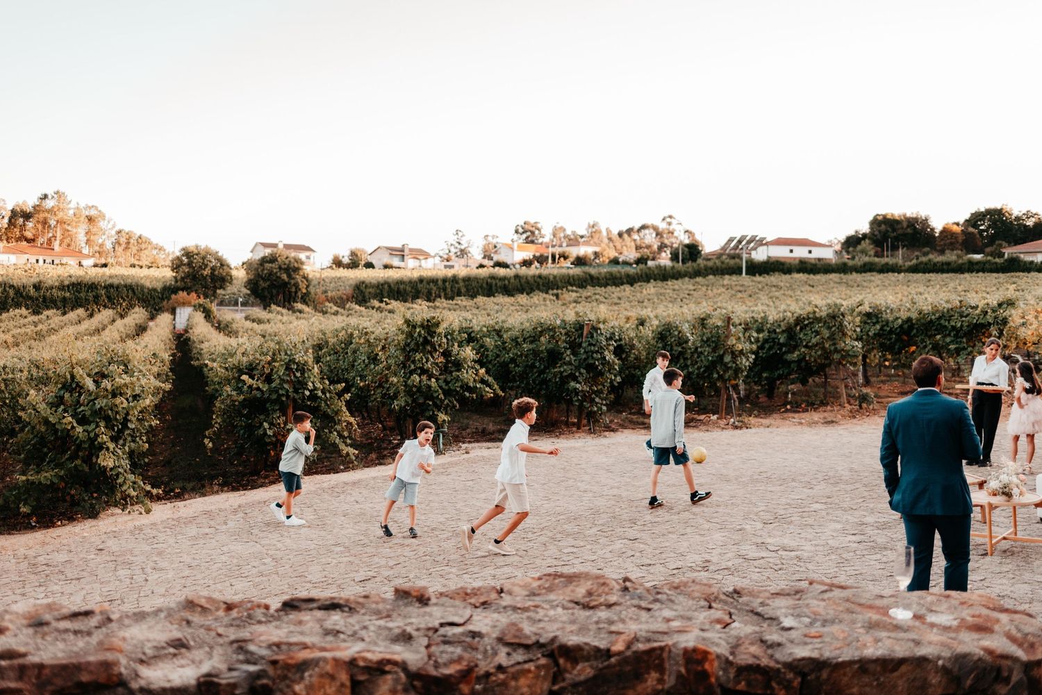 Children playing outdoors near a vineyard at golden hour during a winery event.
