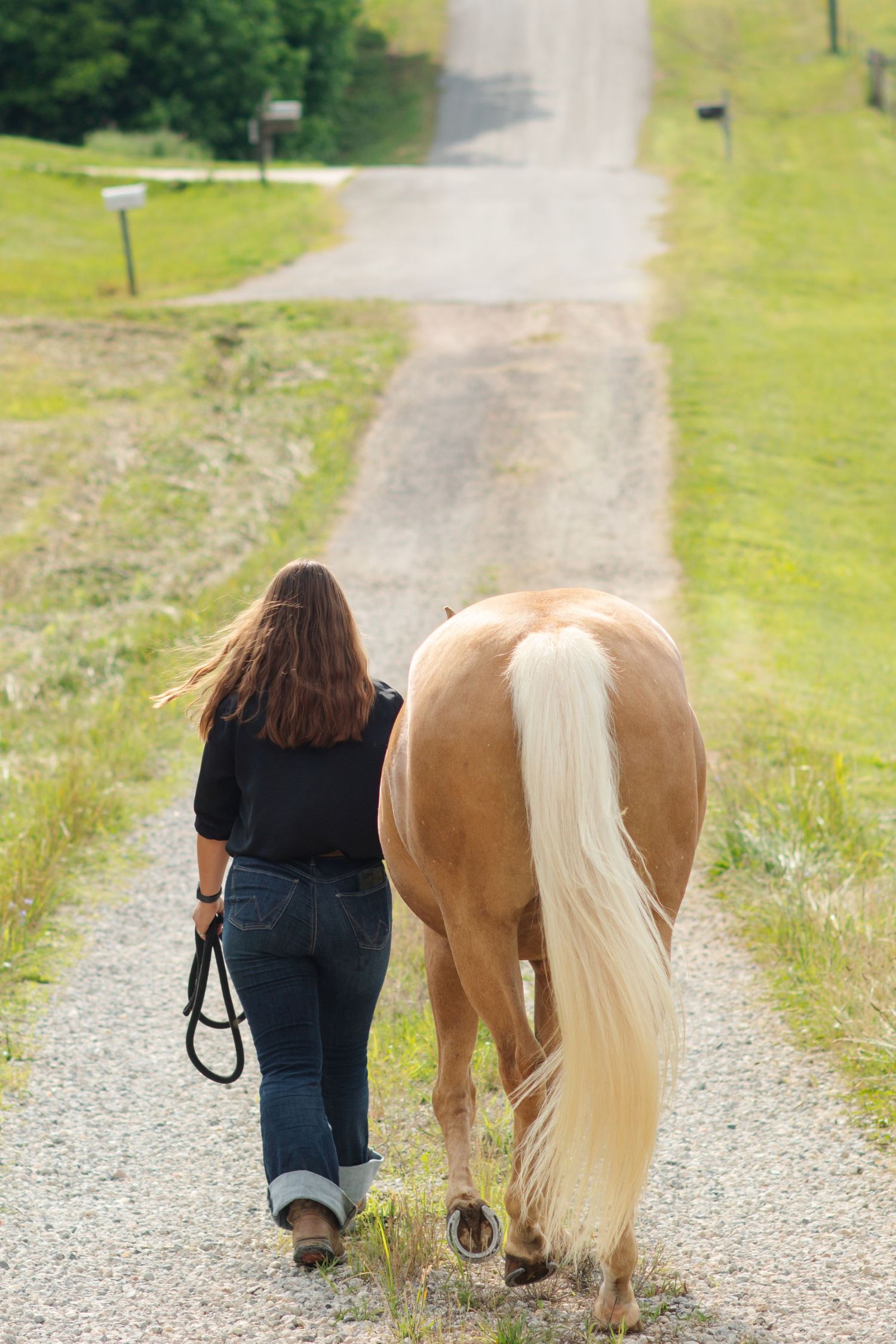 Equine session with woman walking her tan horse down a dirt road during golden hour in North Carolina