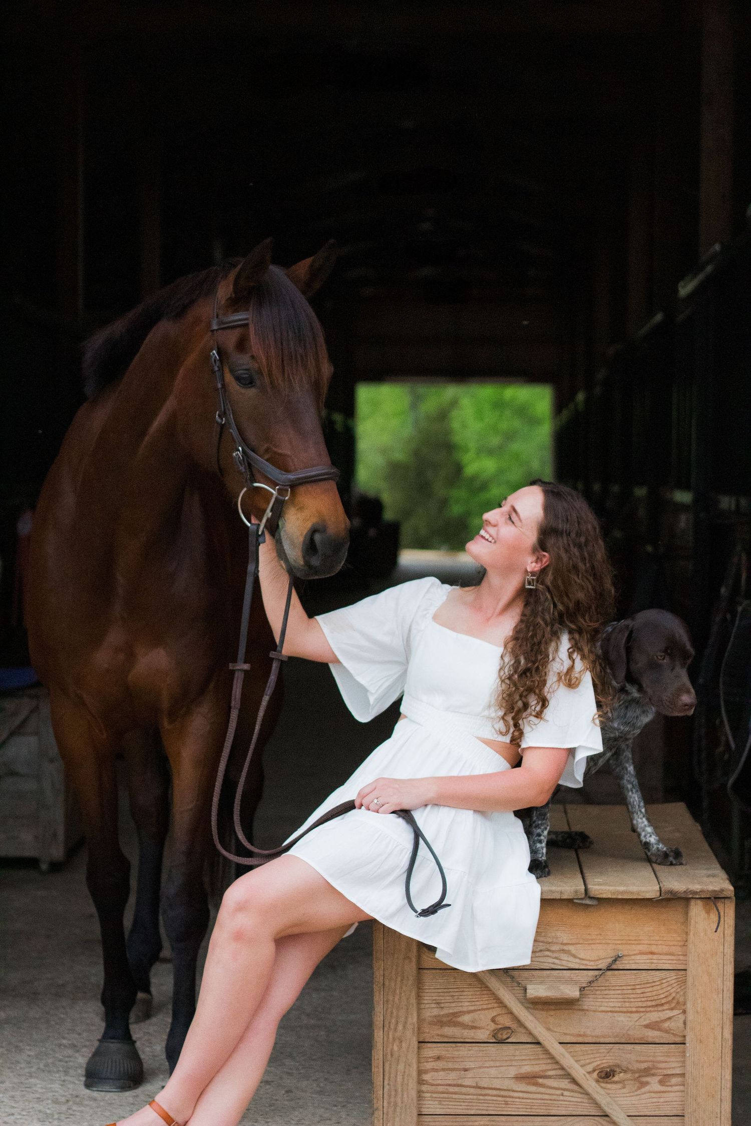 Equine portrait session with girl and her horse at the local horse barn