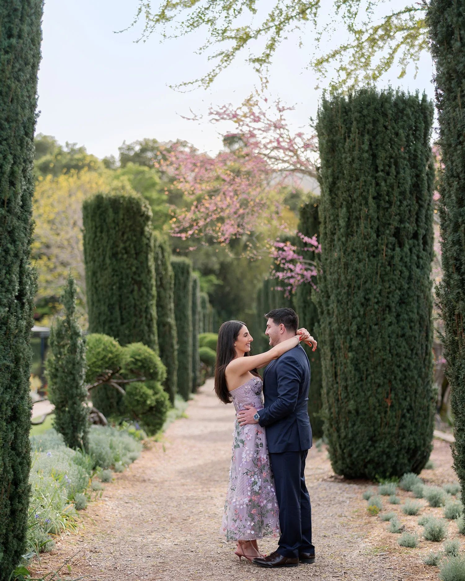 A romantic photoshoot along a path lined with tall cypress trees and flowering cherry blossoms.