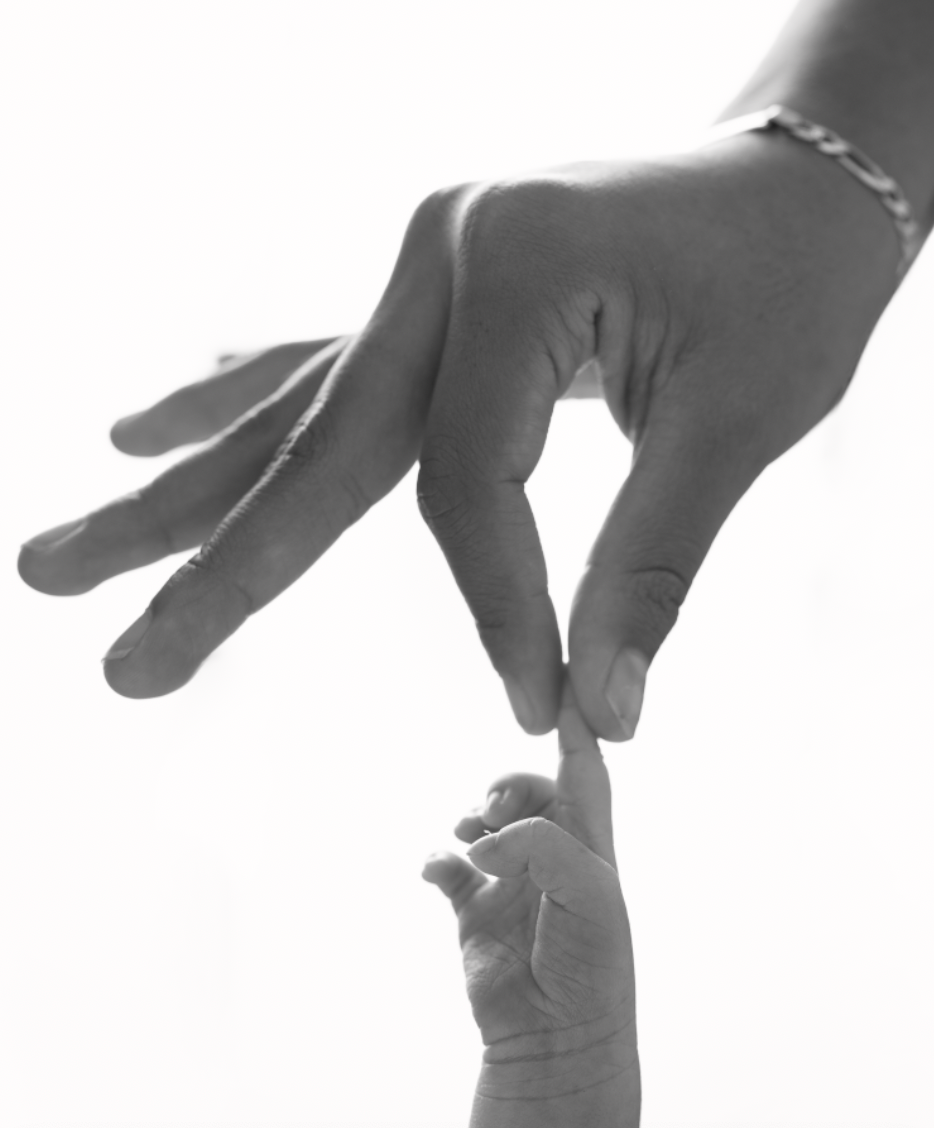 Professional newborn photography session in Fullerton featuring a close-up portrait of a baby’s hands, captured by Lizette DLT Photography.