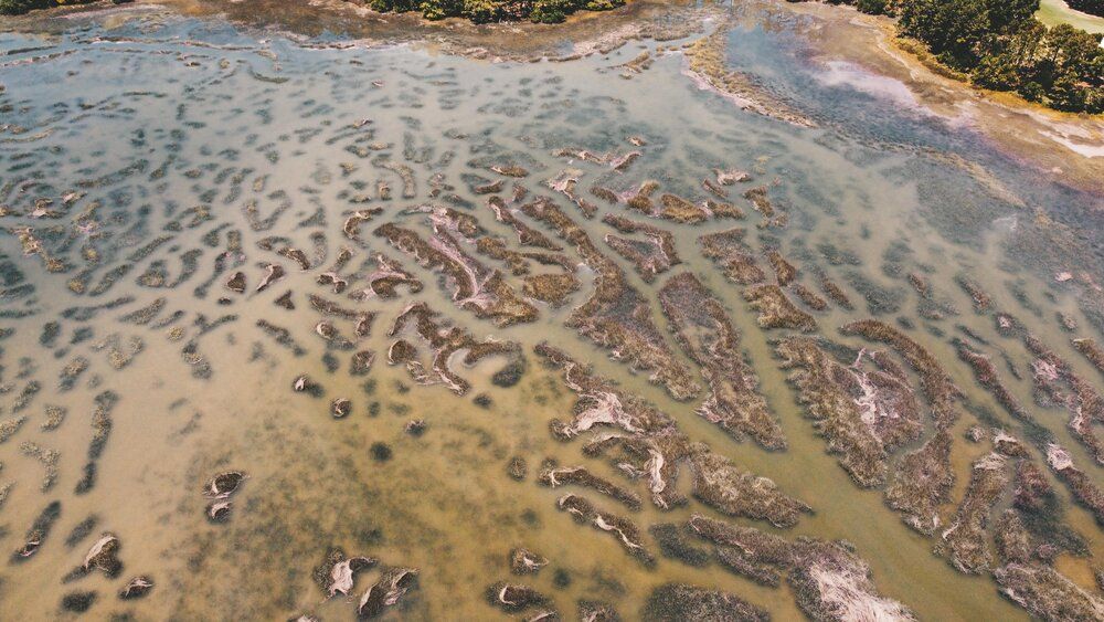 Abstract patterns of shallow water channels and sandbars viewed from above.