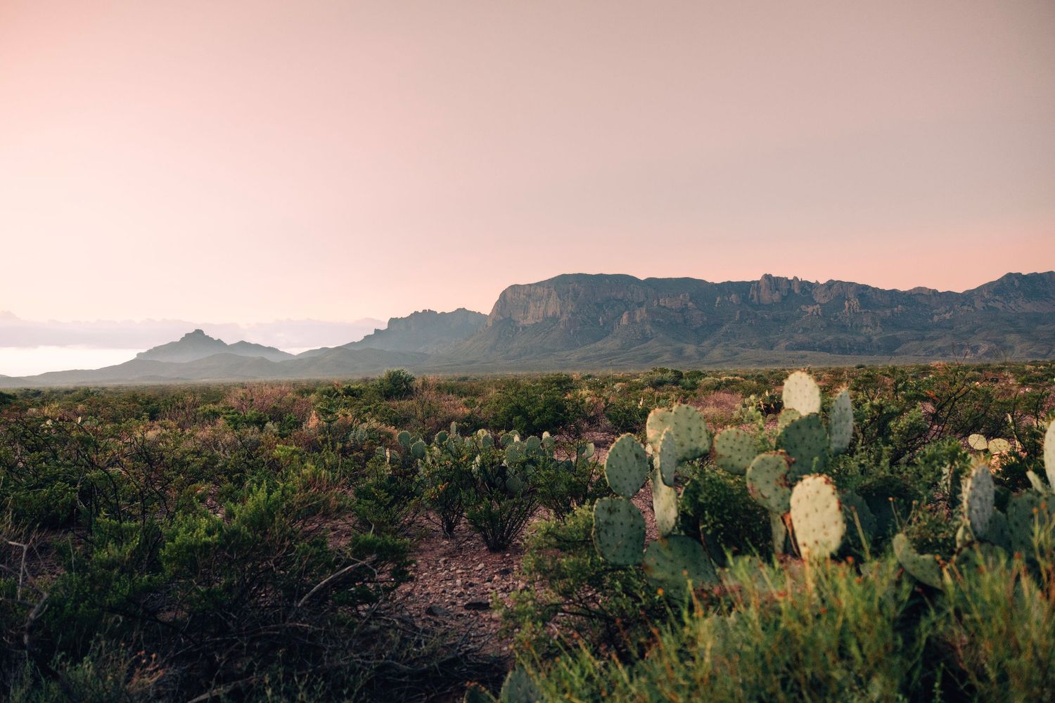 Panoramic desert landscape at sunset with mountains, saguaro cacti, and rugged terrain stretching to the horizon.