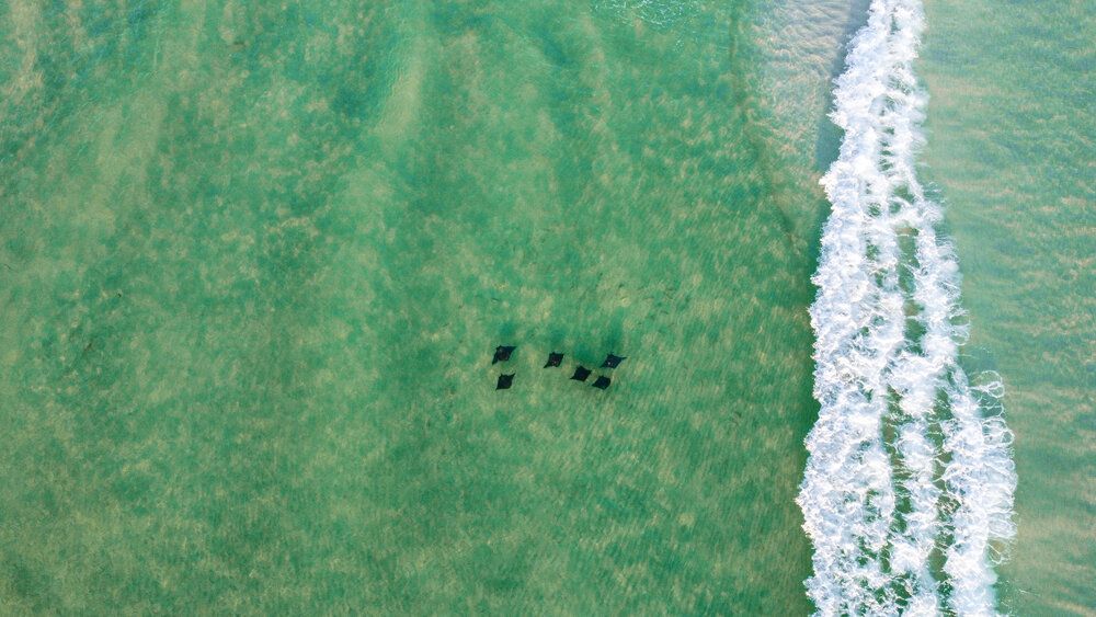 Aerial beach view showing emerald green waters meeting white sand with dark spots in ocean.