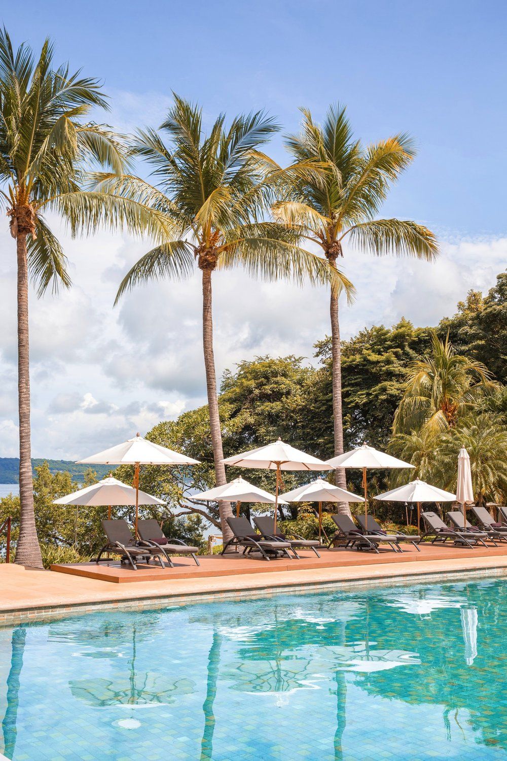 Luxurious Costa Rica swimming pool with loungers and white umbrellas surrounded by tall palm trees at a tropical resort.