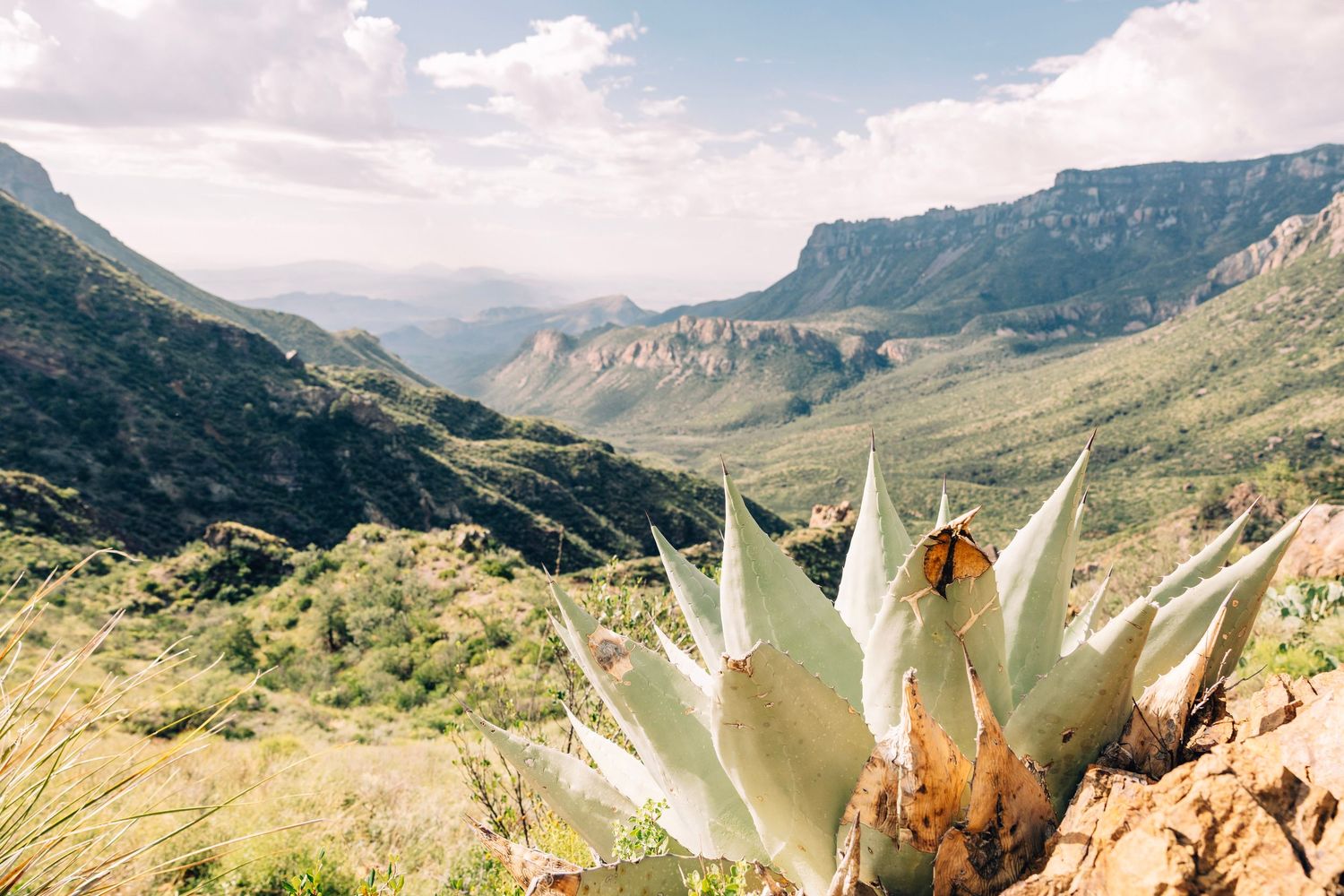 A blooming agave plant in the foreground with a sweeping mountain valley landscape under a partly cloudy sky.
