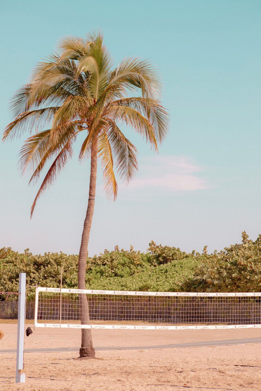 Beach volleyball court with palm tree and net on sandy tropical beach.