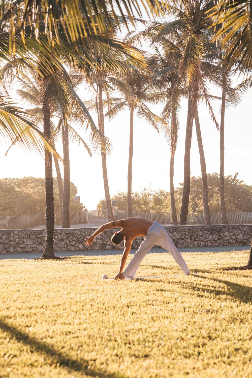 A person practicing yoga among palm trees during golden hour.