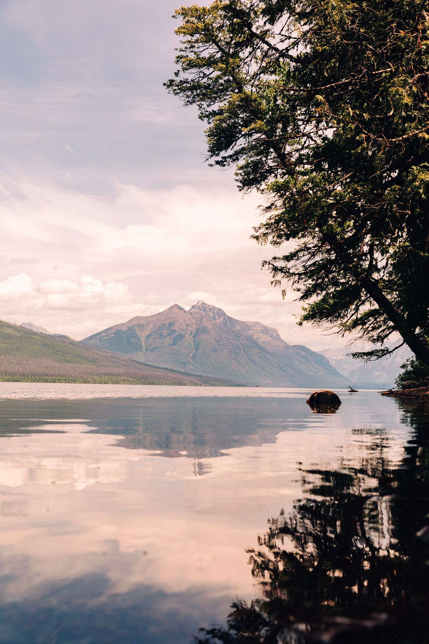 Mountain peak reflects in calm lake waters at sunset with tree silhouette framing serene wilderness landscape.
