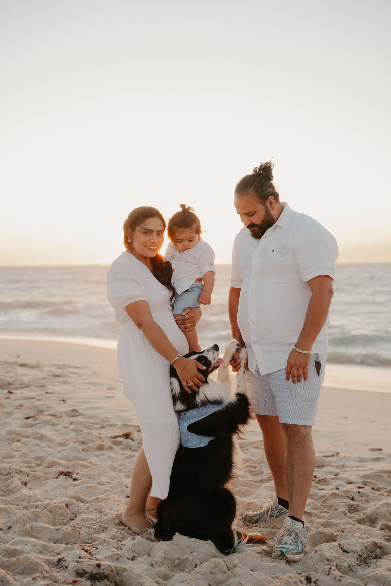 Young family with toddler and border collie dog posing together on sandy beach at sunset.