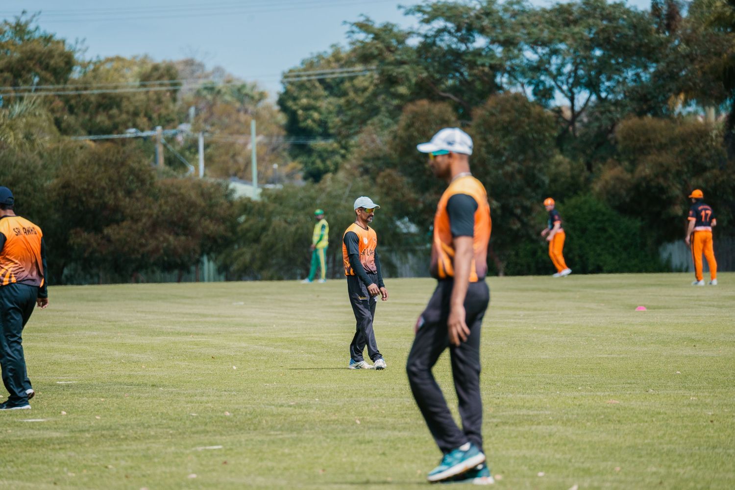 Cricket fielders in orange uniforms positioned on green outfield during game.