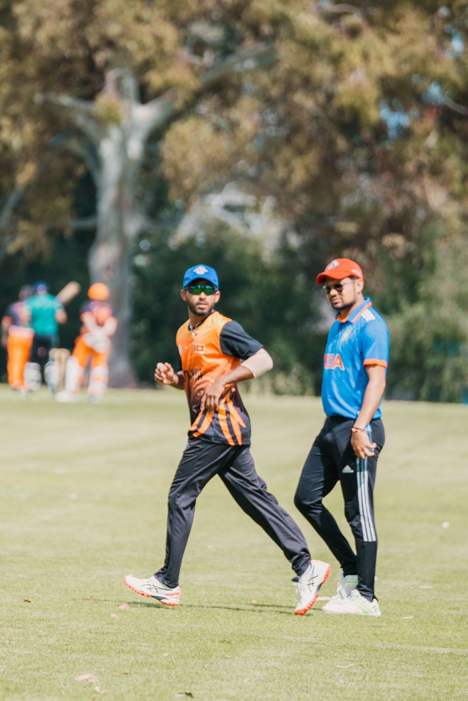 Two cricketers in orange and blue uniforms walk on sunny cricket field.