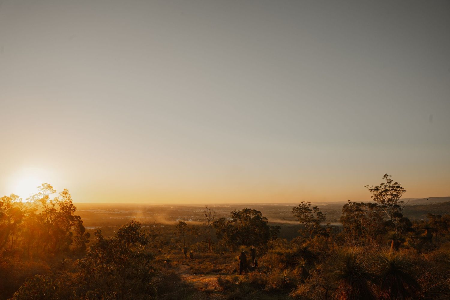 Expansive golden sunset over Australian outback landscape with scattered native trees and shrubs.