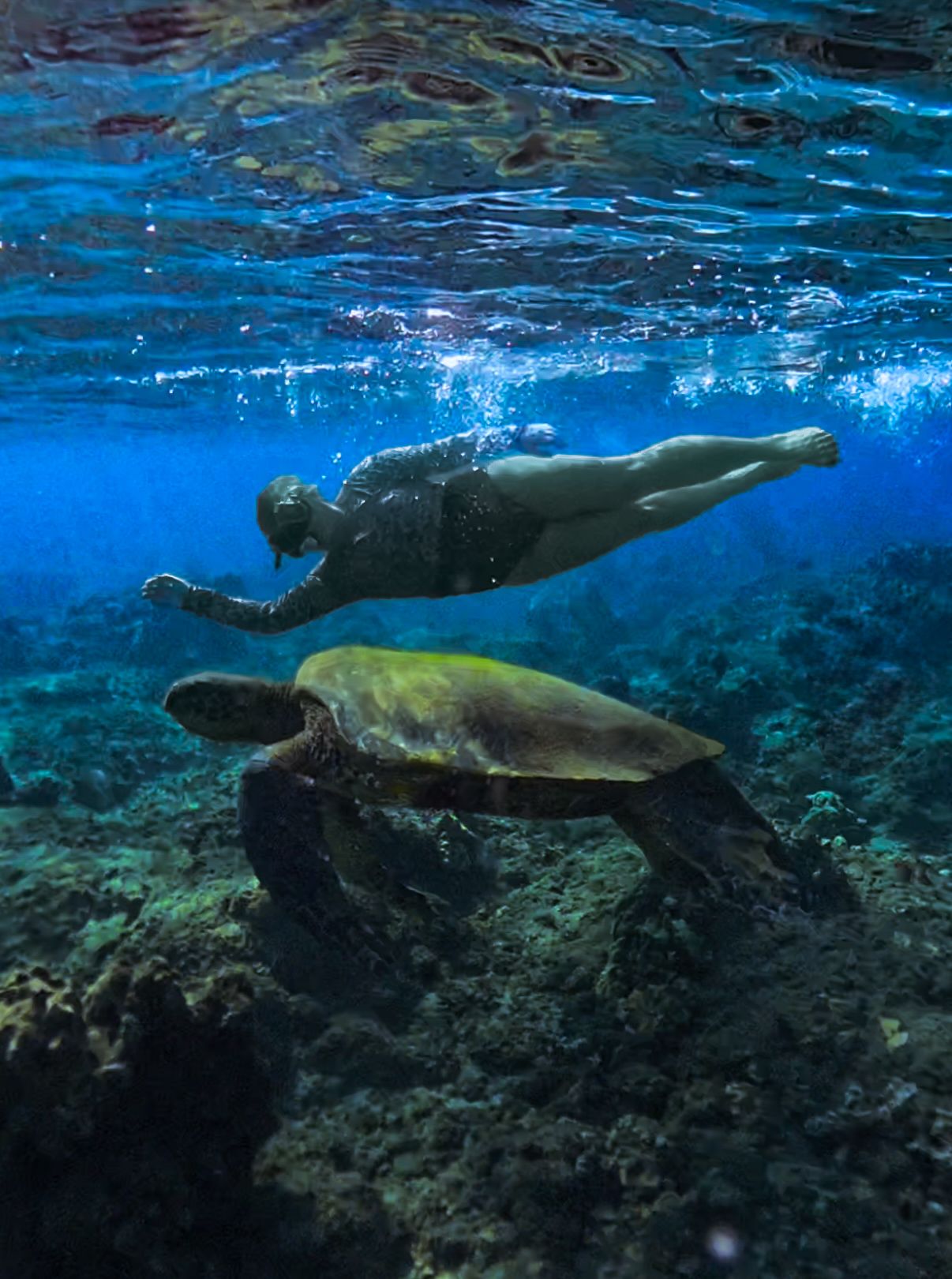 Underwater photo sequence of a sea turtle swimming gracefully over a coral reef.