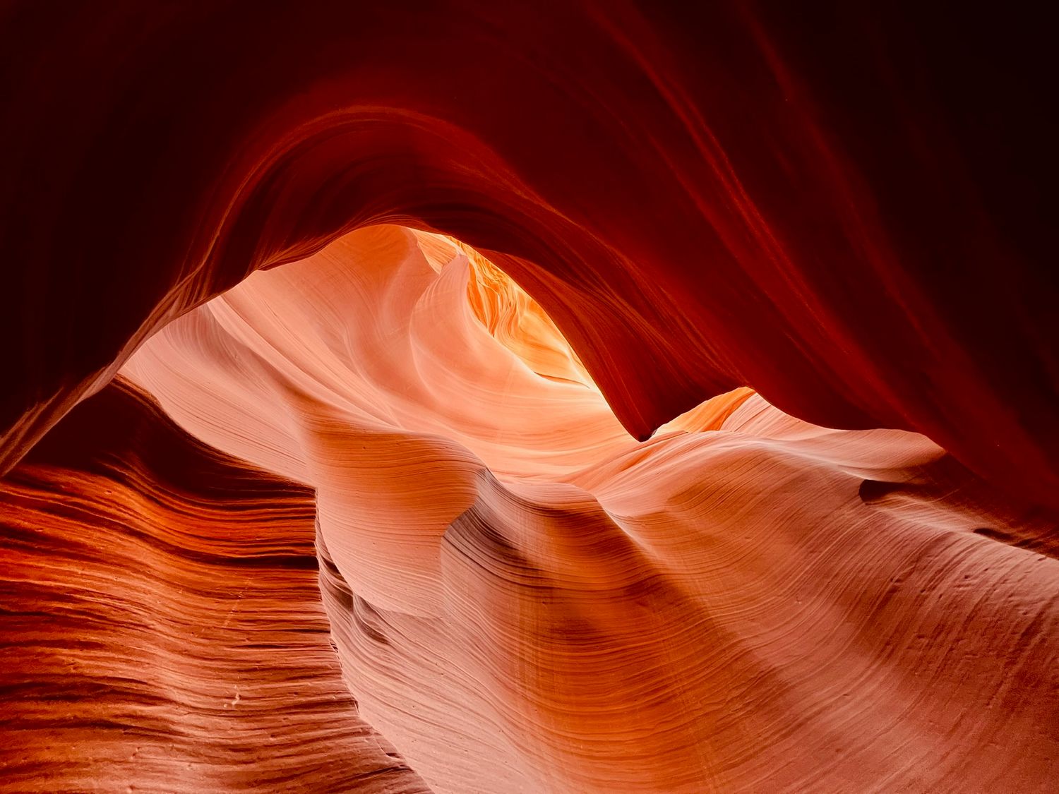 Smooth curved sandstone walls of Antelope Canyon glowing in deep orange and red hues.