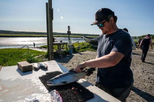 People prepare food at an outdoor cooking station near a coastal area.