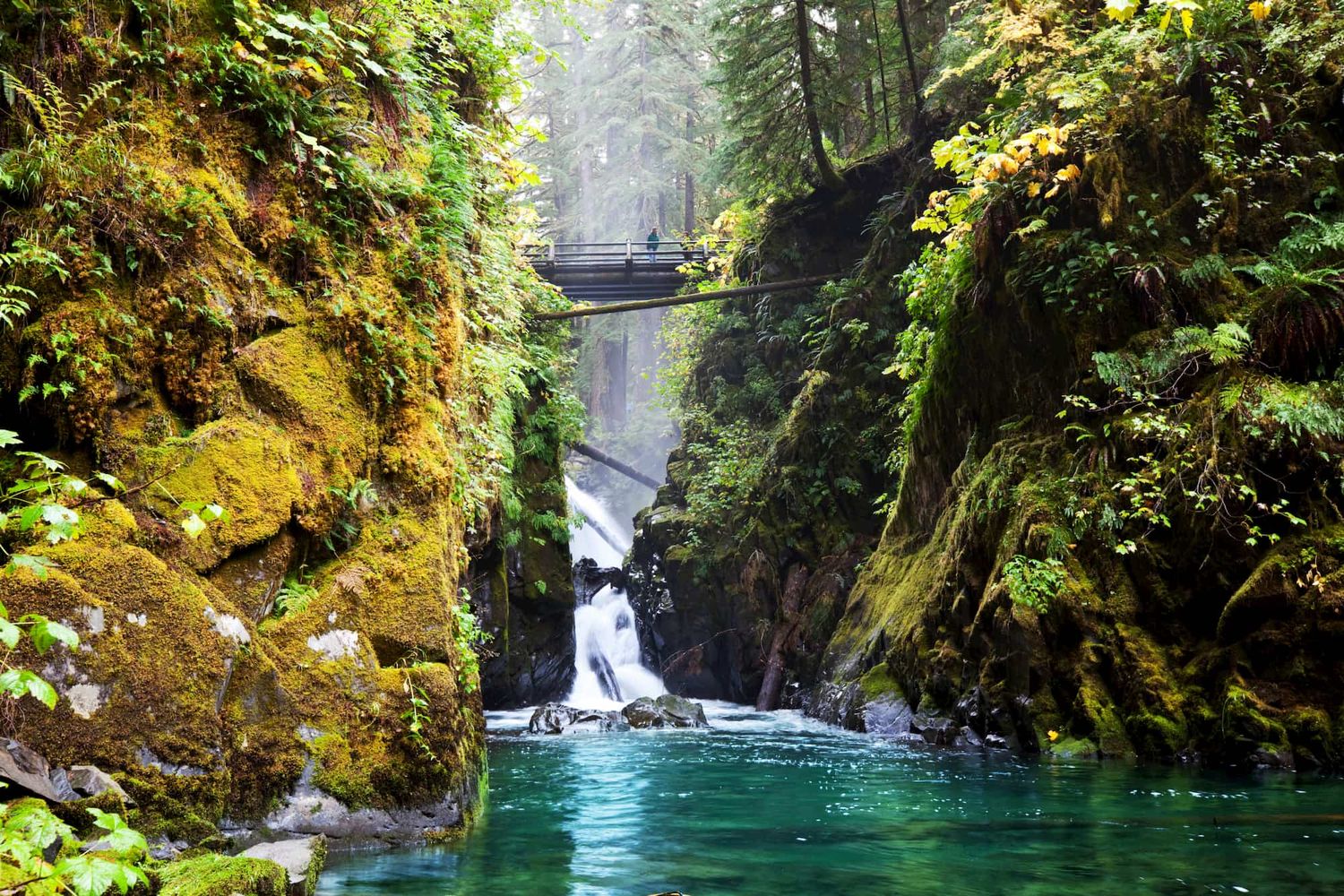 Lush green canyon with crystal clear turquoise water flowing through mossy rock formations.
