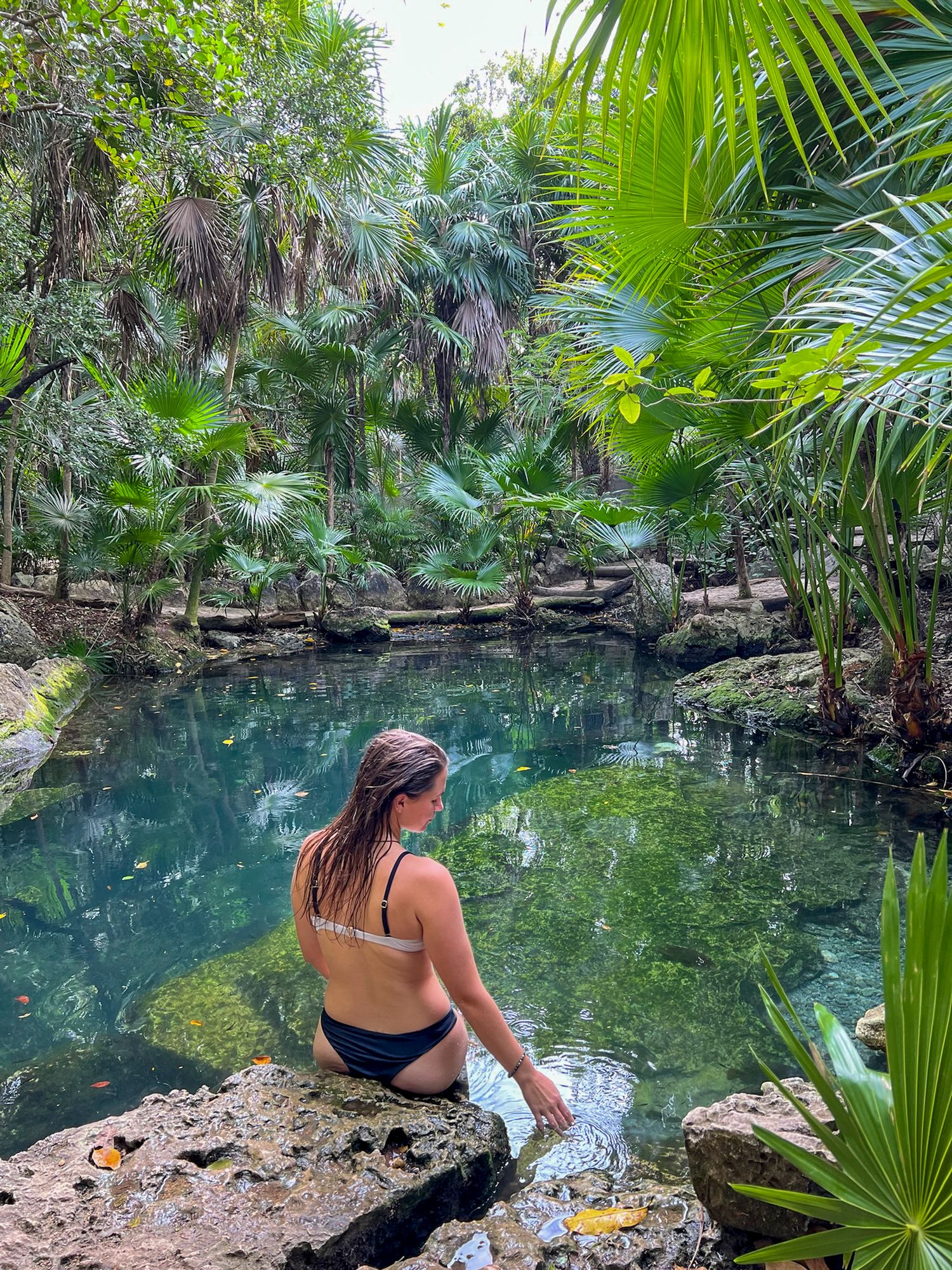 Tropical cenote with crystal clear turquoise water surrounded by lush palm trees and vegetation.