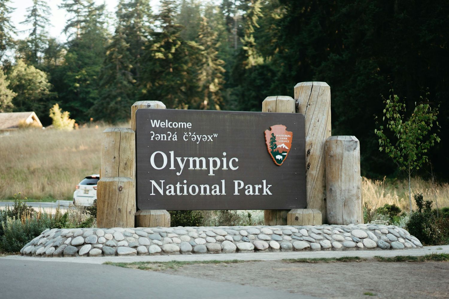 Olympic National Park entrance sign surrounded by evergreen trees.