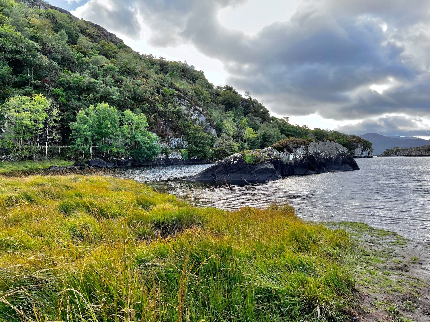 Dramatic coastal landscape with rocky cliffs and green vegetation along a rugged shoreline under cloudy skies.