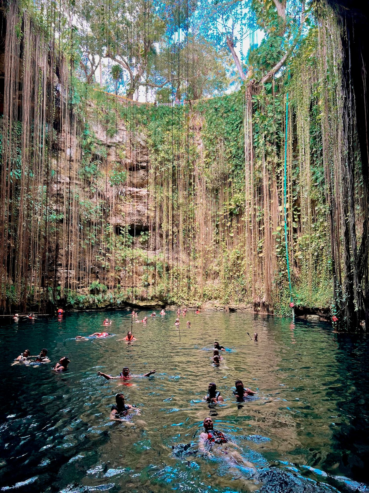 Natural cenote in Mexico with crystal clear waters surrounded by hanging vines and rock formations.